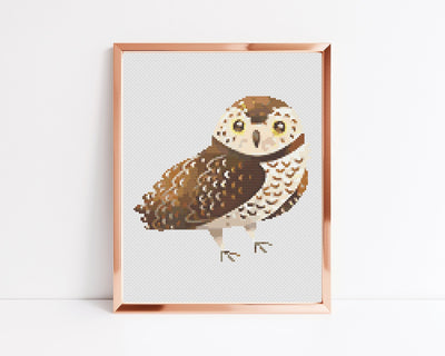 Burrowing Owl Cross Stitch Pattern, Instant Download Pattern PDF, Cross Stitch Art, Animal Design, Boho Gift Her, Embroidery Decor, Wall Art
