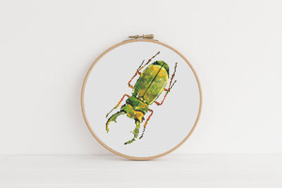 Beetle Cross Stitch Pattern, Instant Download PDF, Nursery Wall Decor, Modern Chart Tutorial, Animal Art, Cross Stitch Art, Embroidery Gift