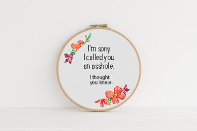 Sorry Cross Stitch Pattern, Instant Download PDF, Cross Stitch Art, Rude Cross Stitch, Boho Home Decor, Funny Home Art, Sarcastic Gift Mom